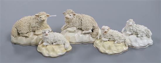 Five Samuel Alcock porcelain figures of sheep, c.1840-50, L. 7cm - 9cm